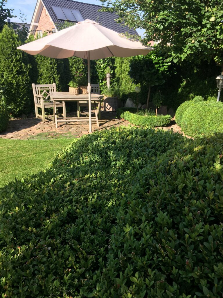 IMG 7624
