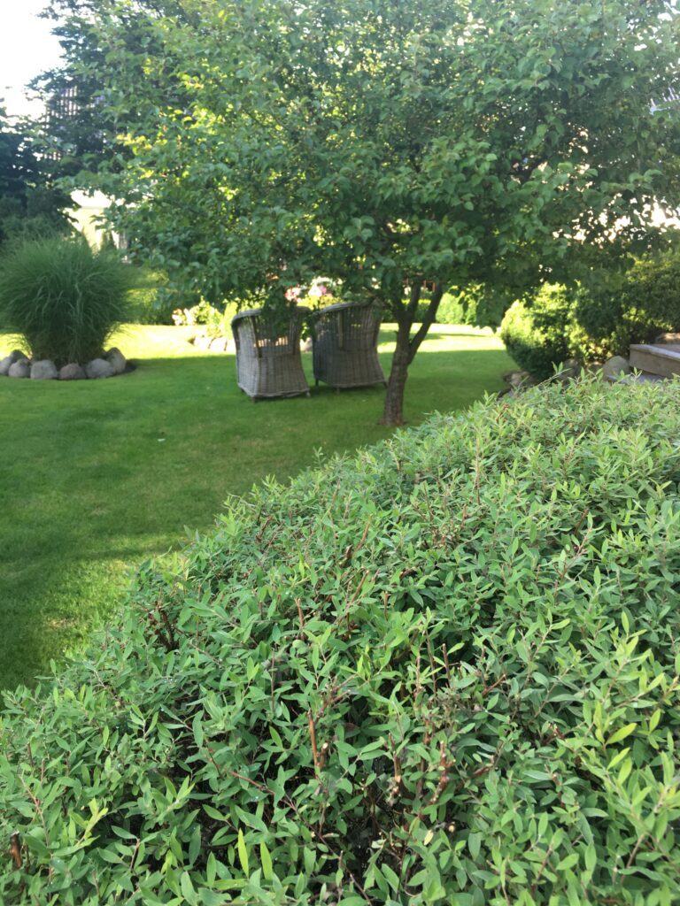 IMG 7675