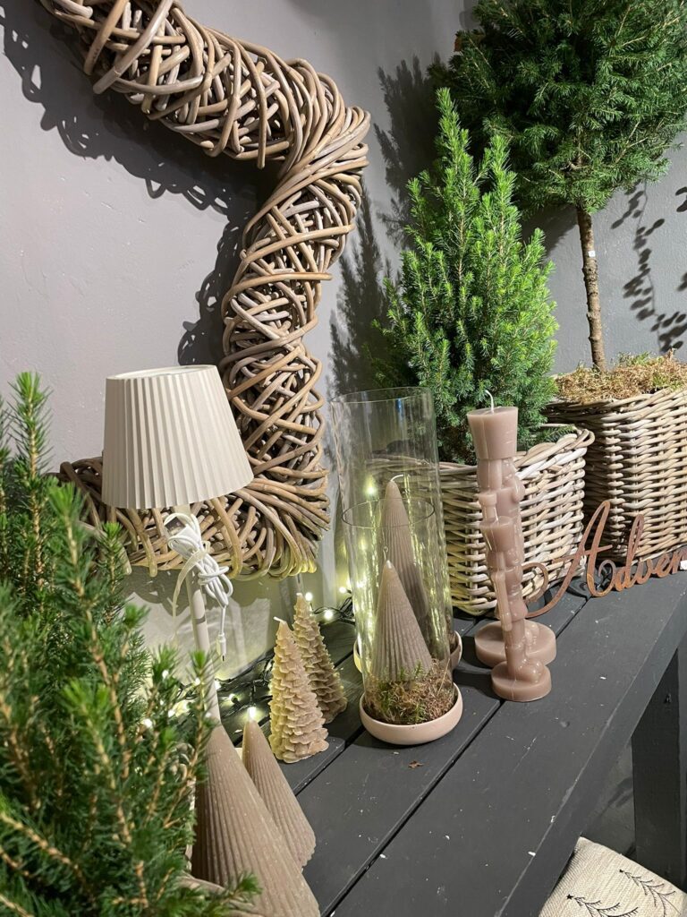 IMG 20251202 WA0091